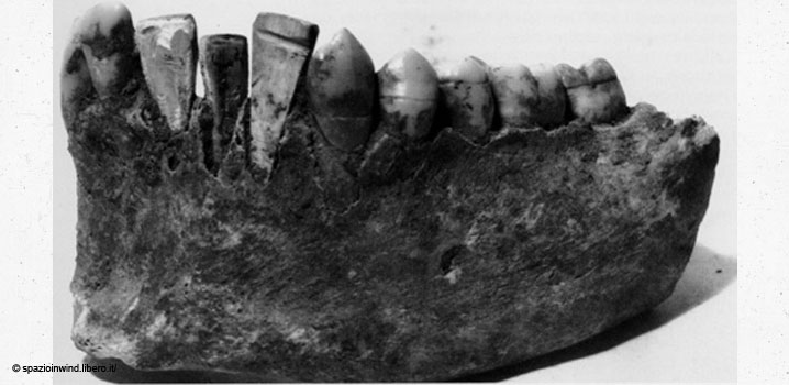 Rămățițe umane descoperite de Wilson Popenoe în 1931, într-un sit din Honduras